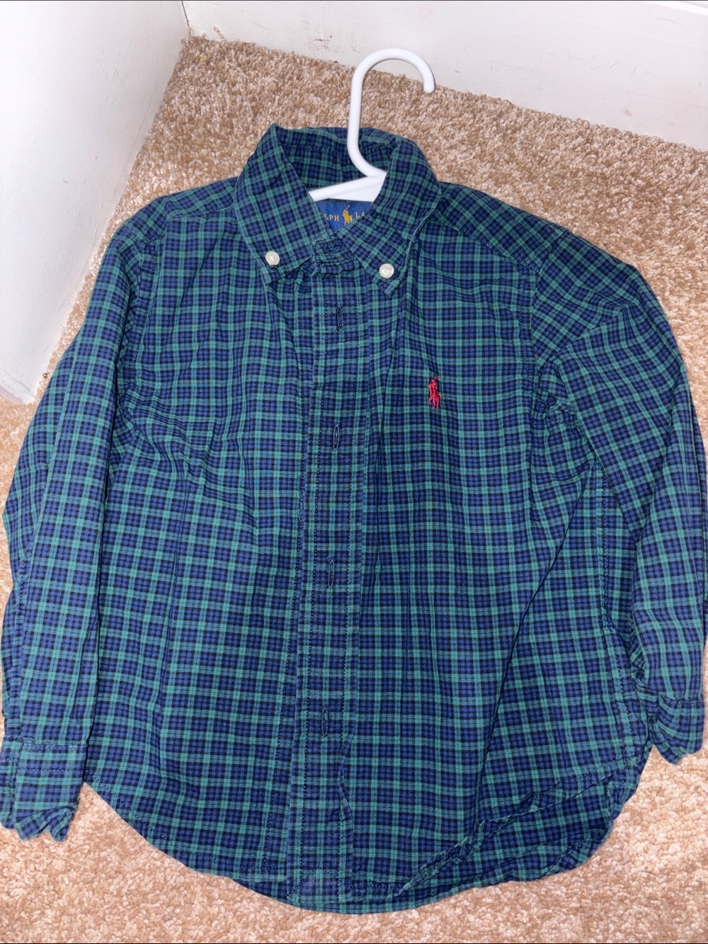 Polo by Ralph Lauren Navy & Green Plaid Button-Down Shirt